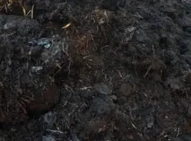 Зображення для оголошення Перегной коровий. Навоз. Компост.