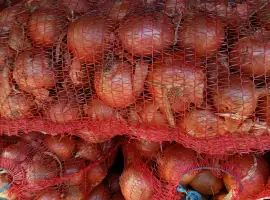 Зображення для оголошення Продам лук