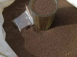 Зображення для оголошення Продам семена табака, 30 грн за столовую ложку
