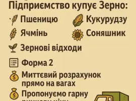 Зображення для оголошення Купуємо фуражне Зерно
