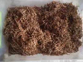 Зображення для оголошення Продам