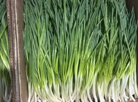 Зображення для оголошення Продам зелену цибулю