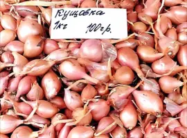 Зображення для оголошення Озима цибуля на посадку Кущовка – гарна схожість