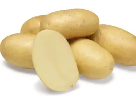 Зображення для оголошення Картофель на посадку Джолин 2,5 кг ,1 репродукция