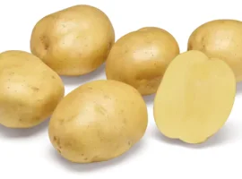 Зображення для оголошення Картопля на посадку Твістер 2,5 кг ,1 репродукція