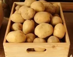 Зображення для оголошення Насіннєва картопля Рів'єра 2,5 кг (1 репродукція)