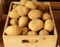 Зображення для оголошення Насіннєва картопля Рів'єра 2,5 кг (1 репродукція)