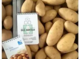 Зображення для оголошення Насіннєва картопля Гранада 2,5 кг (1 репродукція)