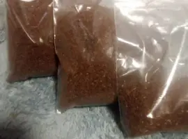 Зображення для оголошення Продам насіння тютюну
