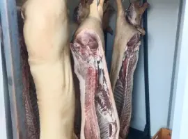 Зображення для оголошення Свинина, тушка свині , м'ясо