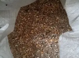 Зображення для оголошення Продам зерно . Зерновідходи. Комбікорм.висівка.