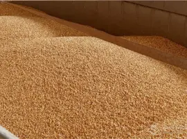 Зображення для оголошення Продам Овес кормовой з доставкою