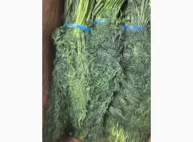 Зображення для оголошення Кріп Узбекистан