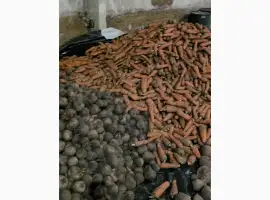 Зображення для оголошення Продам буряк