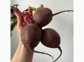 Зображення для оголошення Куплю буряк