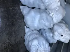 Зображення для оголошення Продам буряк