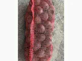 Зображення для оголошення Продам буряк