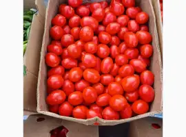Зображення для оголошення Продам томати