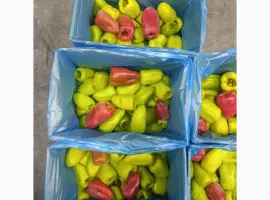 Зображення для оголошення Перець тріо Здоровий Продукт цілий свіжоморожений