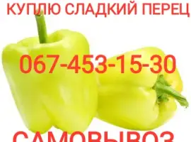 Зображення для оголошення Куплю сладкий перец