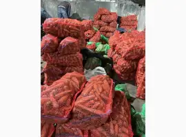 Зображення для оголошення Продам морковь от поставщика с 10 тонн