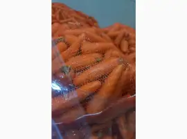 Зображення для оголошення Продам моркву ранню