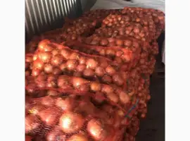 Зображення для оголошення Продам лук от фермера. С 20 тонн. Цена договорная
