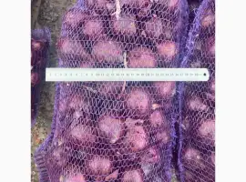 Зображення для оголошення Продам синю цибулю