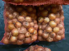 Зображення для оголошення Продам. Цибулю медуза