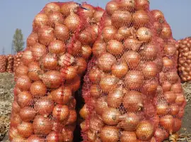 Зображення для оголошення Продам цибулю