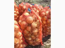 Зображення для оголошення Продам цибулю
