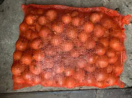 Зображення для оголошення Продам цибулю. Нове поступлення