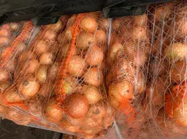 Зображення для оголошення Продам лук (Польша)
