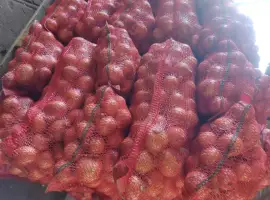 Зображення для оголошення Продам цибулю