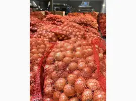 Зображення для оголошення Продам цибулю ріпчату від виробника