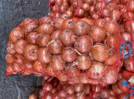 Зображення для оголошення Продам цибулю Медуза