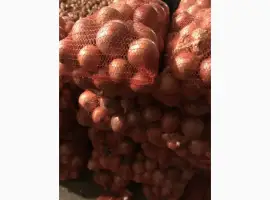 Зображення для оголошення Продам цибуля сорт штутгарт