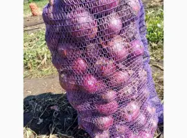Зображення для оголошення Продам лук синий