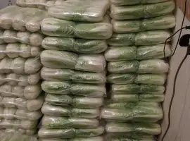 Зображення для оголошення Куплю пекінську капусти від 20 тон по всій Україні