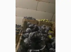 Зображення для оголошення Продам капусту червоно качану