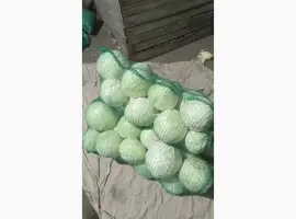Зображення для оголошення Продам Капусту