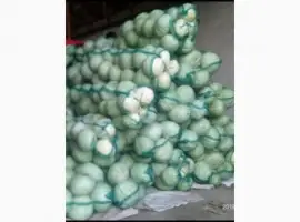 Зображення для оголошення Продам капусту