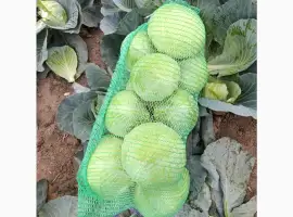 Зображення для оголошення Продам капусту