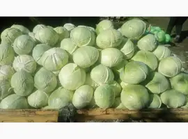 Зображення для оголошення Продам Агресор
