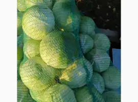 Зображення для оголошення Капуста