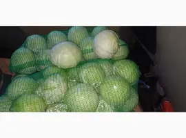 Продам капусту "Бригадир"