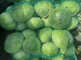 Зображення для оголошення Капуста сорт Агресор