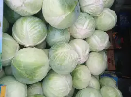 Продам капусту сорт центурион