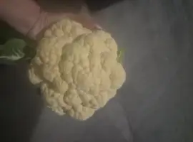 Зображення для оголошення Продам капусту цветную