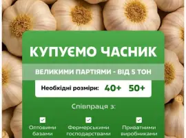 Куплю часник